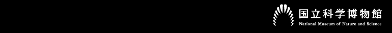 Ȋw