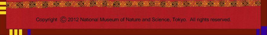 Ȋwف@Copyright 2012 National Museuam of Nature and Science, Tokyo. All right researved.