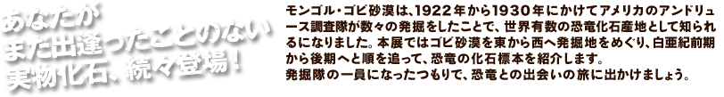 『あなたがまだ出逢ったことのない実物化石、続々登場！』モンゴル・ゴビ砂漠は、１９２２年から１９３０年にかけてアメリカのアンドリュース調査隊が数々の発掘をしたことで、世界有数の恐竜化石産地として知られるになりました。本展ではゴビ砂漠を東から西へ発掘地をめぐり、白亜紀前期から後期へと順を追って、恐竜の化石標本を紹介します。発掘隊の一員になったつもりで、恐竜との出会いの旅に出かけましょう。