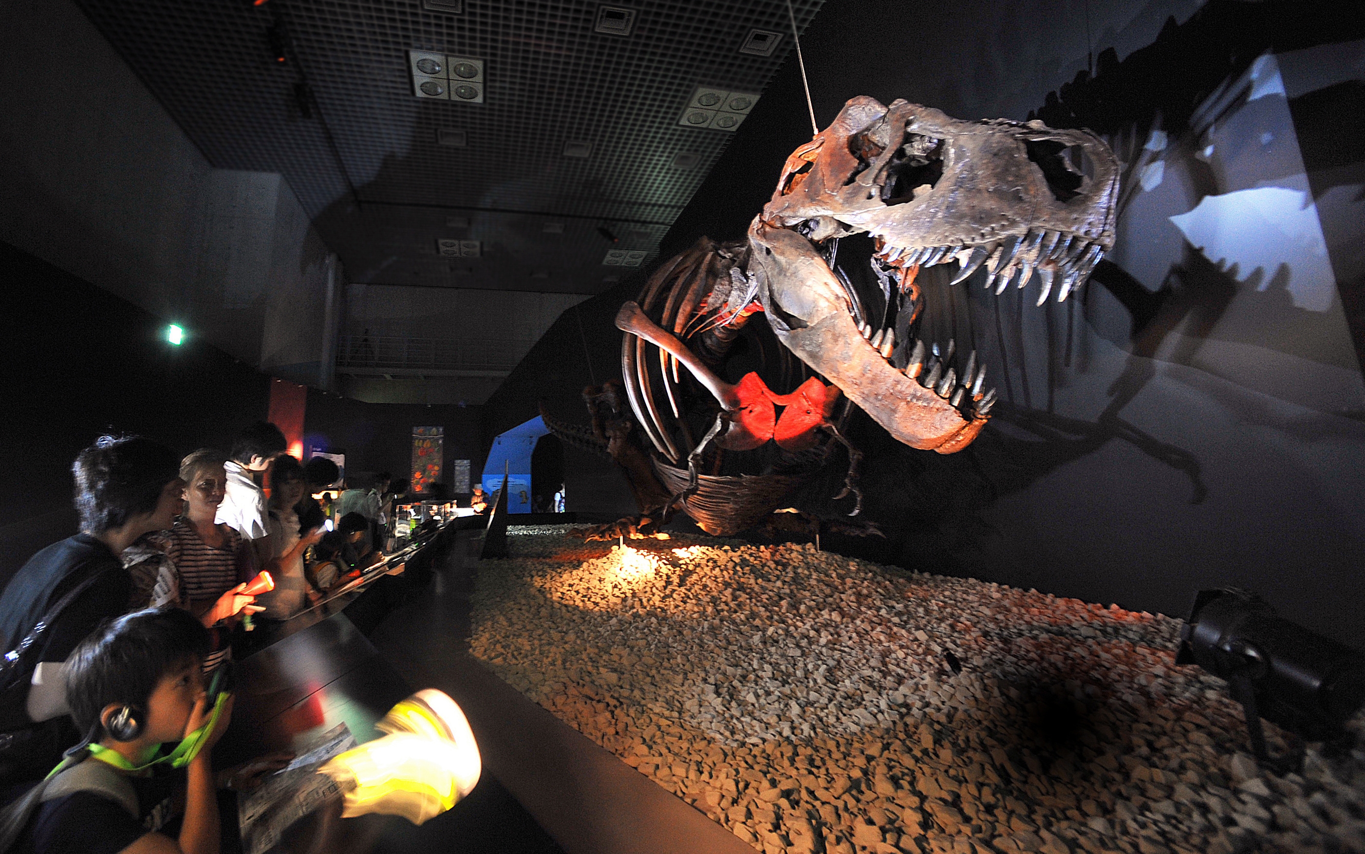 特別展 恐竜博16 16年3月8日 火 6月12日 日 国立科学博物館
