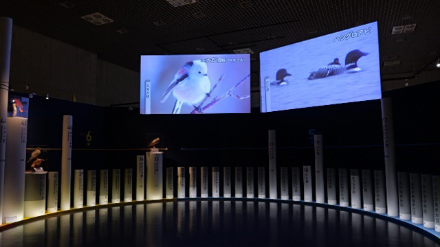 多様性サークル