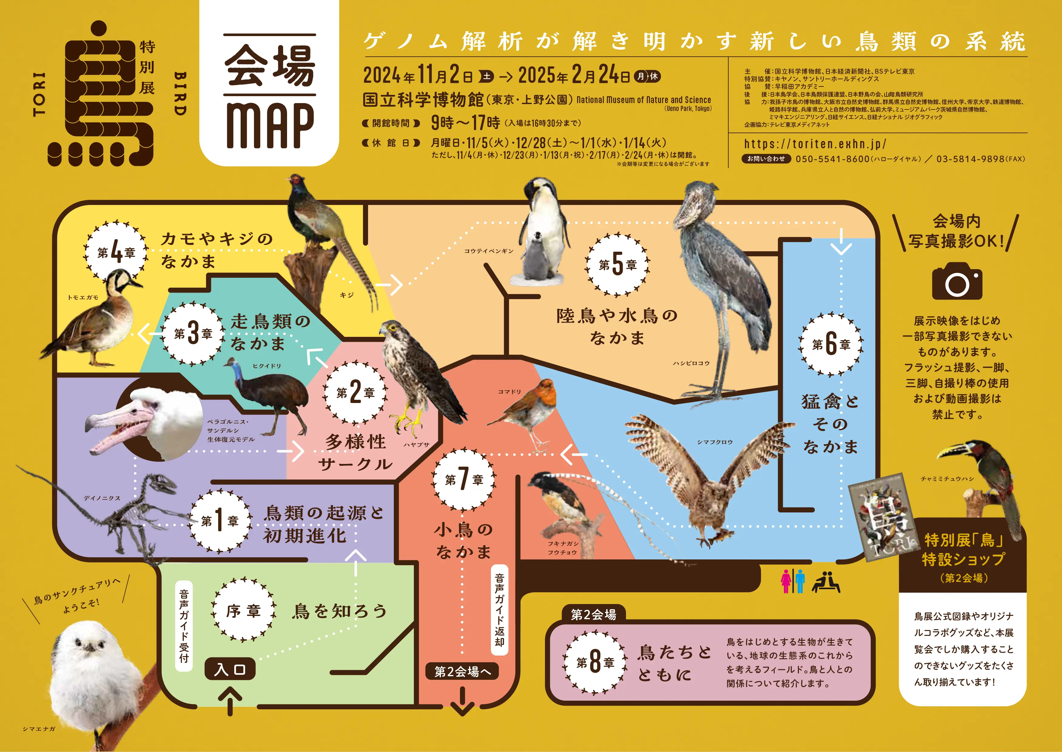 会場マップ | 特別展「鳥 ～ゲノム解析が解き明かす新しい鳥類の系統