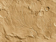 写真：火星の川の痕（あと）