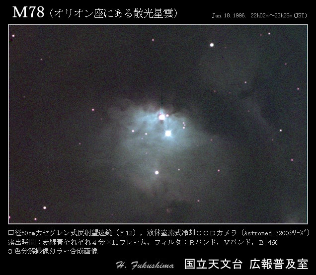 写真：オリオン座のM78星雲