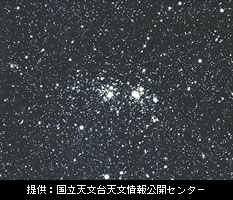 写真：ペルセウス座の二重星団