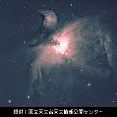 写真：オリオン座の大星雲 M42