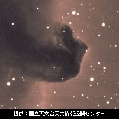 写真：オリオン座の馬頭星雲