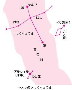 図：七夕の星と白鳥座