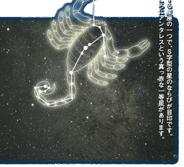 夏（さそり座）夏を代表する星座の一つで、Ｓ字型の星のならびが目印です。心臓のところにアンタレスという真っ赤な一等星があります。