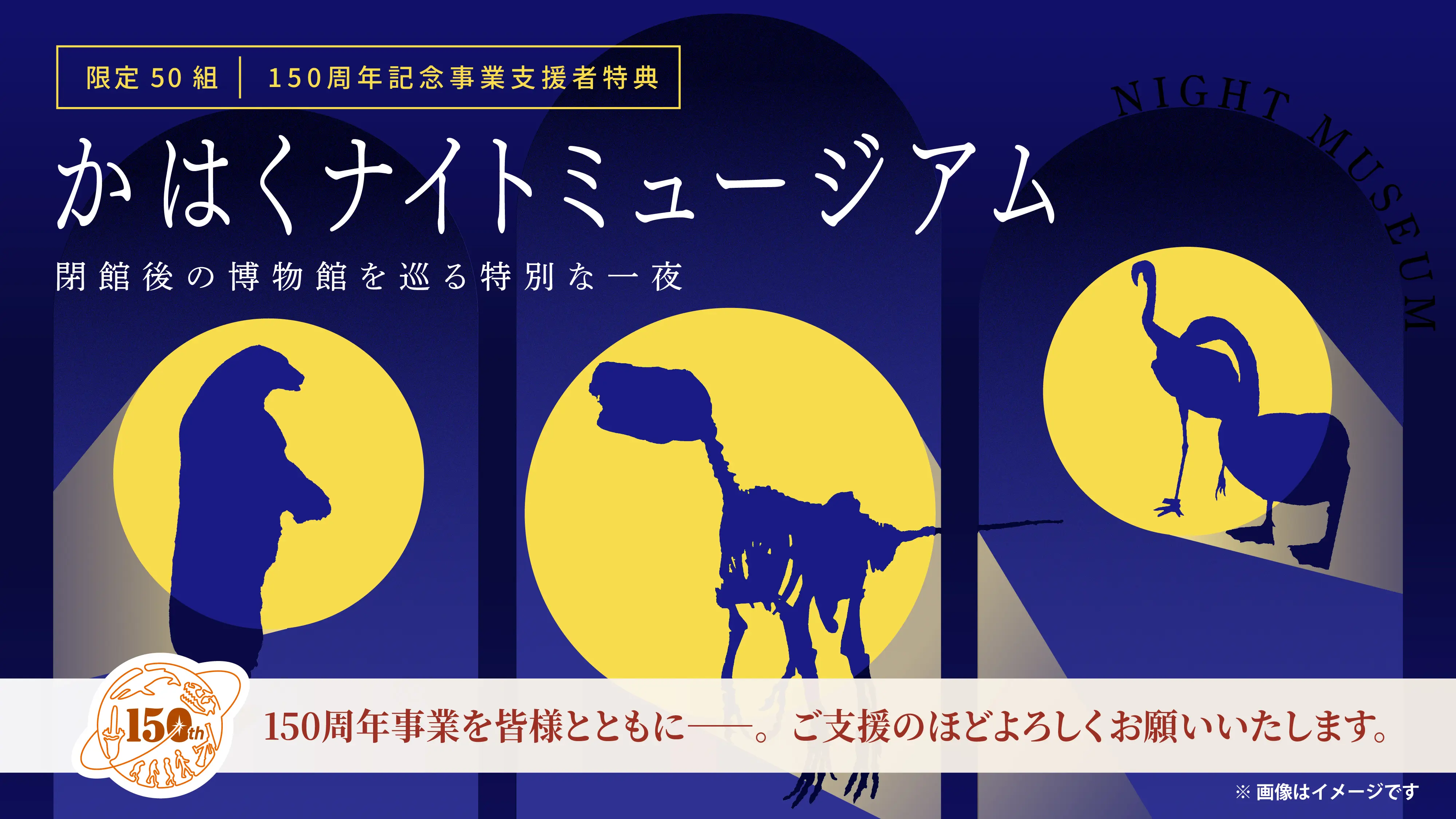 かはくナイトミュージアム