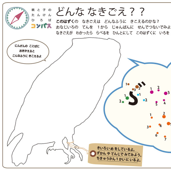 どんななきごえ？コノハズク（やさしい）