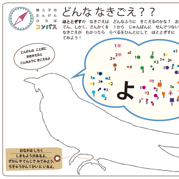 どんななきごえ？ホトトギス