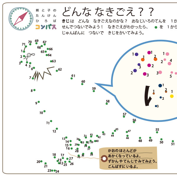 どんななきごえ？キジ（むずかしい）