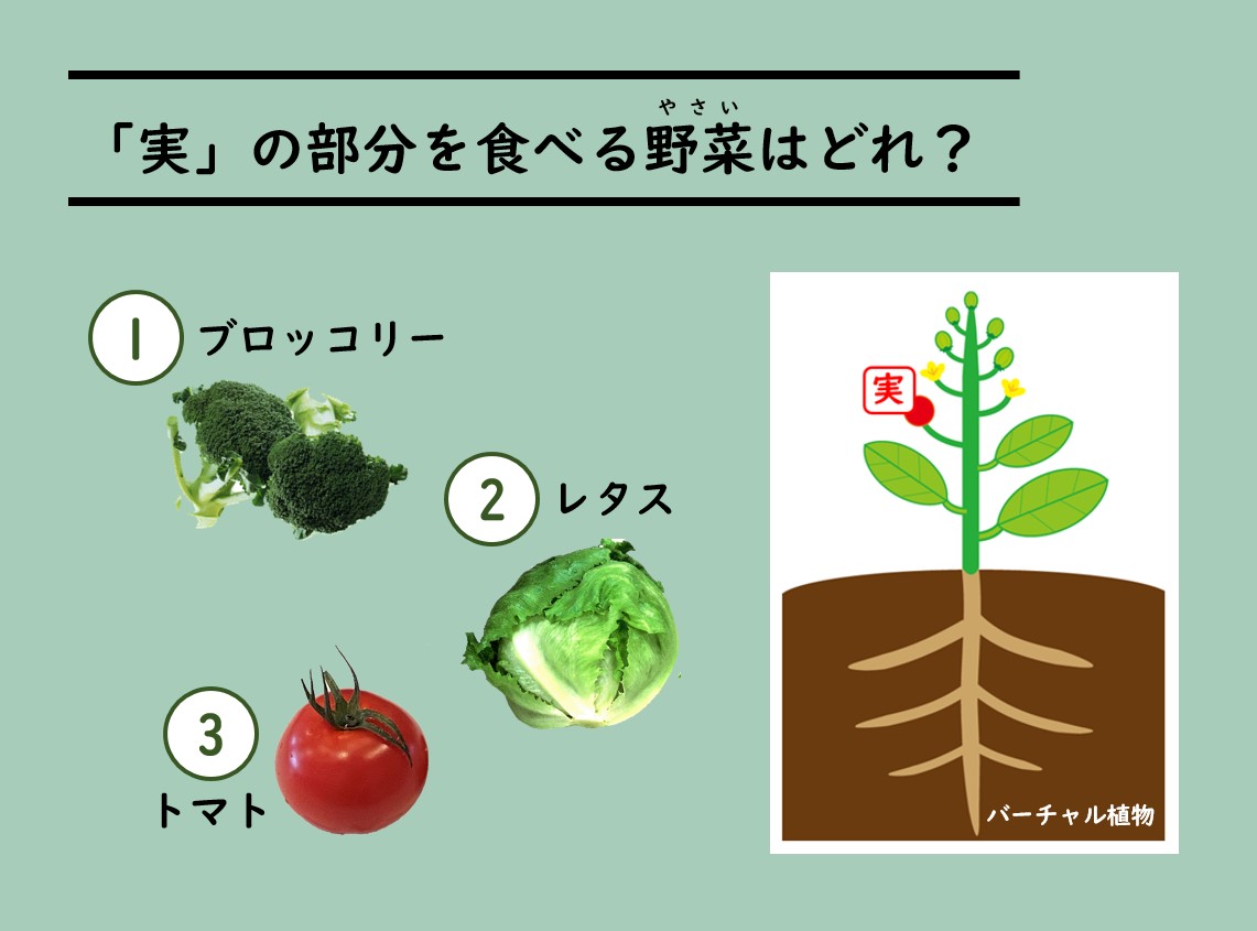 実の部分を食べる野菜(やさい)はどれ？