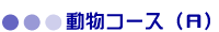 R[Xi`j