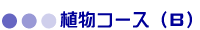 AR[Xiaj