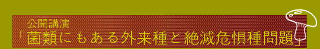 JuuۗނɂOƐŊ뜜v