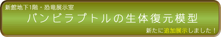 orvg̐͌̕^