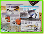 tBMA摜