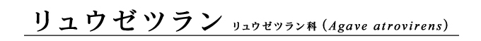photo_title