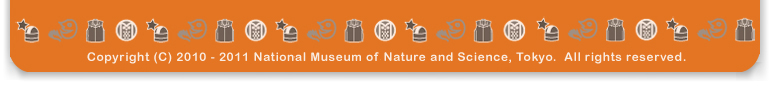 Copyright 2010-2011 National Museum of Nature and Science, Tokyo.  All rights reserved.