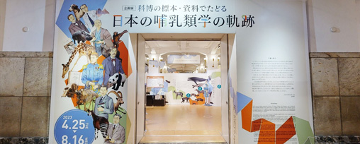 企画展「科博の標本・資料でたどる日本の哺乳類学の軌跡」VR