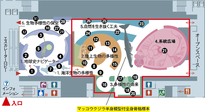 地球館1階展示「自然を生き抜く工夫」再公開について