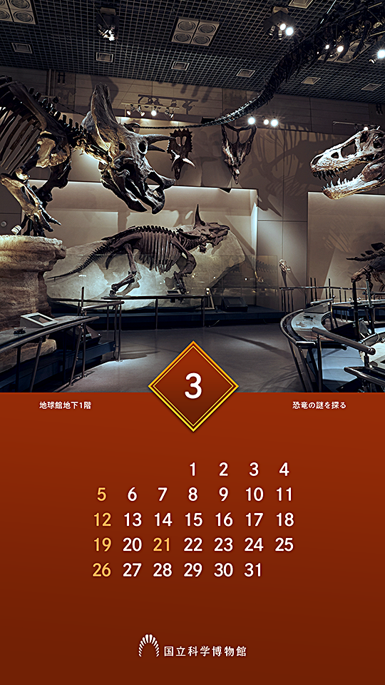 地球館地下1階「地球環境の変動と生物の進化」：恐竜の化石