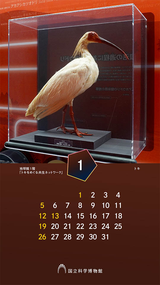 スマートフォン用カレンダー