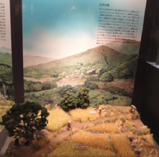 江戸期の水田と里山ジオラマ
