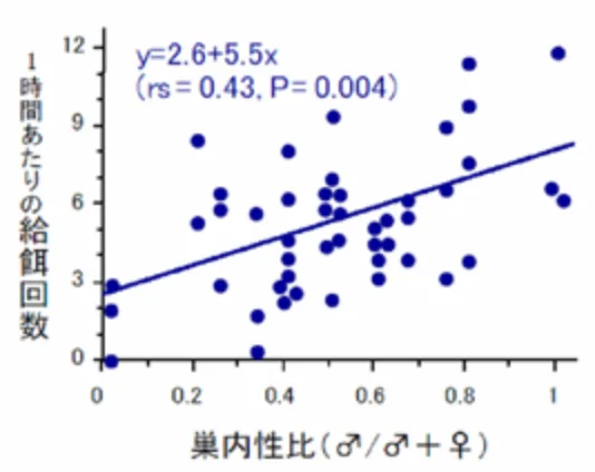巣内性比（一巣内のヒナの比）と父親の給餌頻度