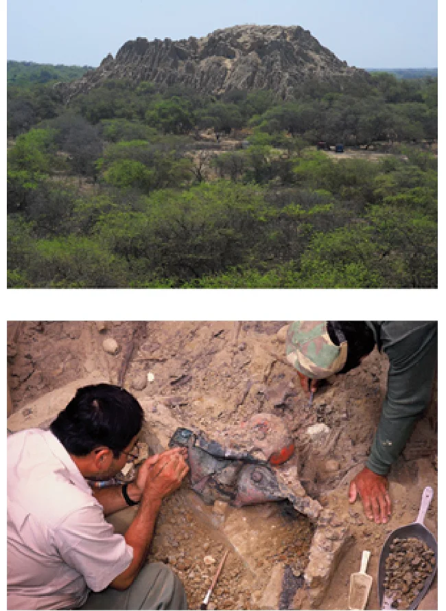 ロロ神殿_プラットフォーム西側の墓の主体の発掘