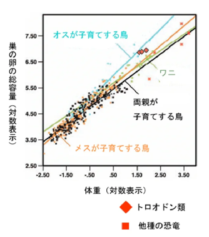 現生鳥類・ワニ・恐竜の体重と巣の卵の総容量の関係