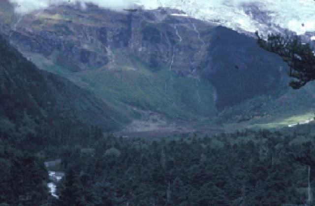 ヒマラヤナンジャモンジャゴケ発見地