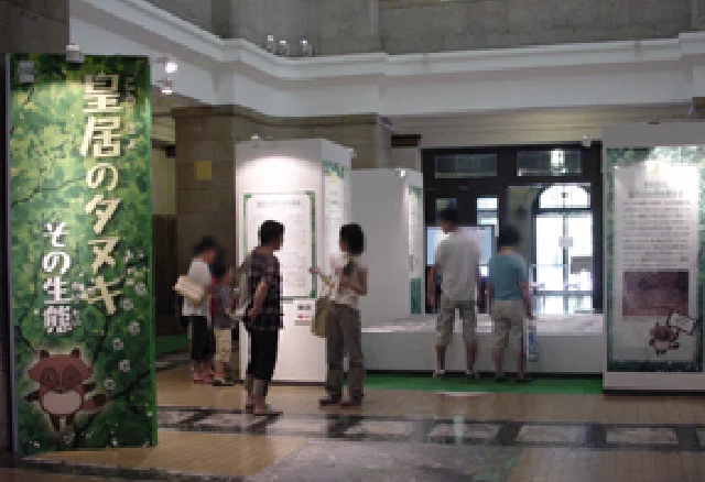科博NEWS展示『皇居のタヌキとその生態』