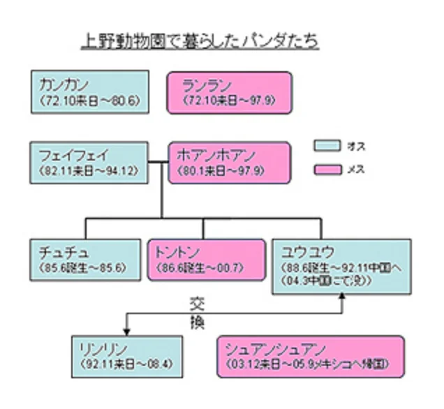 上野動物園で暮らしたパンダたち