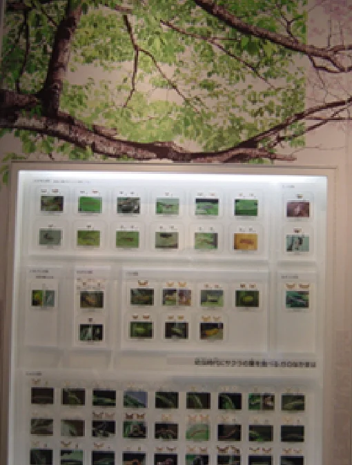 サクラを利用する生きものたち