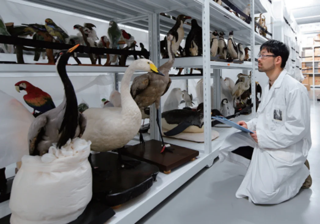 スクリーンショット 2025-07-31 155103