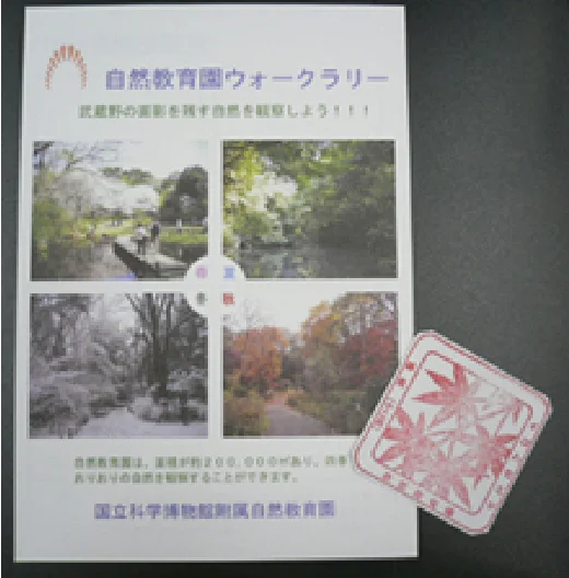 自然教育園ウォークラリー