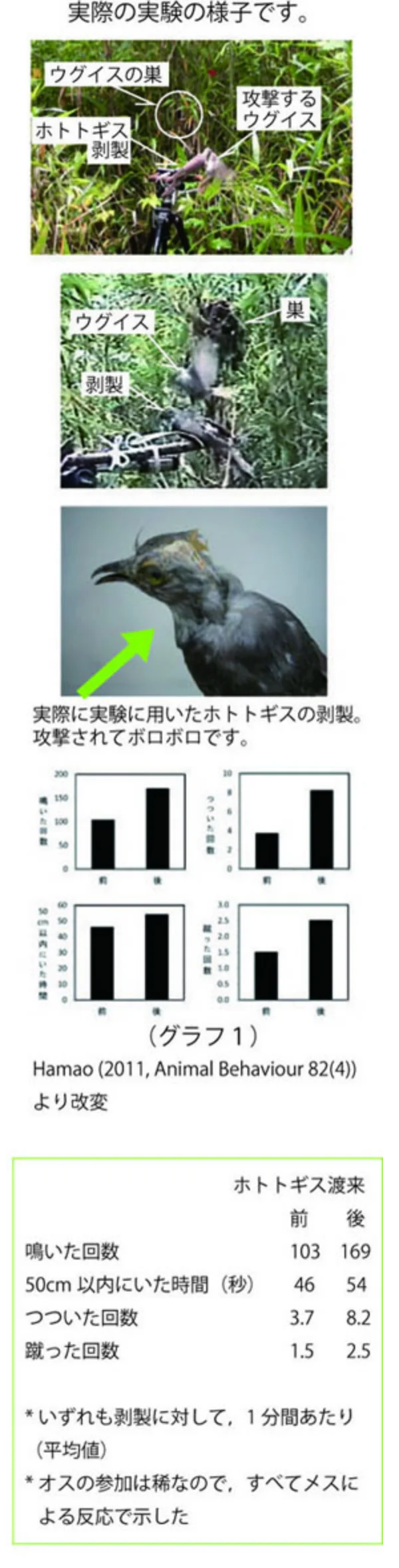 剥製提示実験の様子