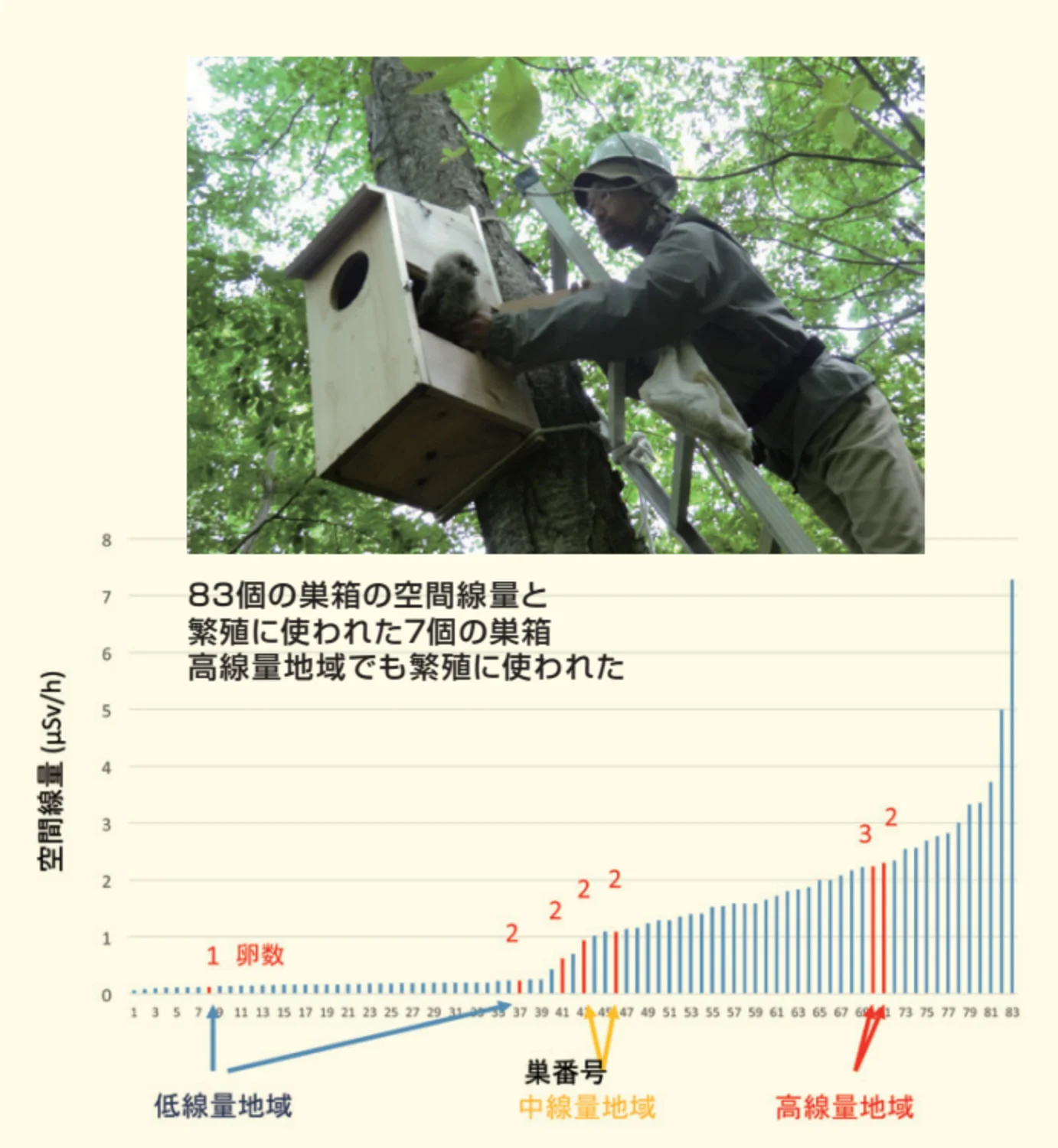 巣箱設置の様子