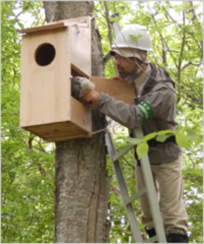 西海博士_巣箱設置
