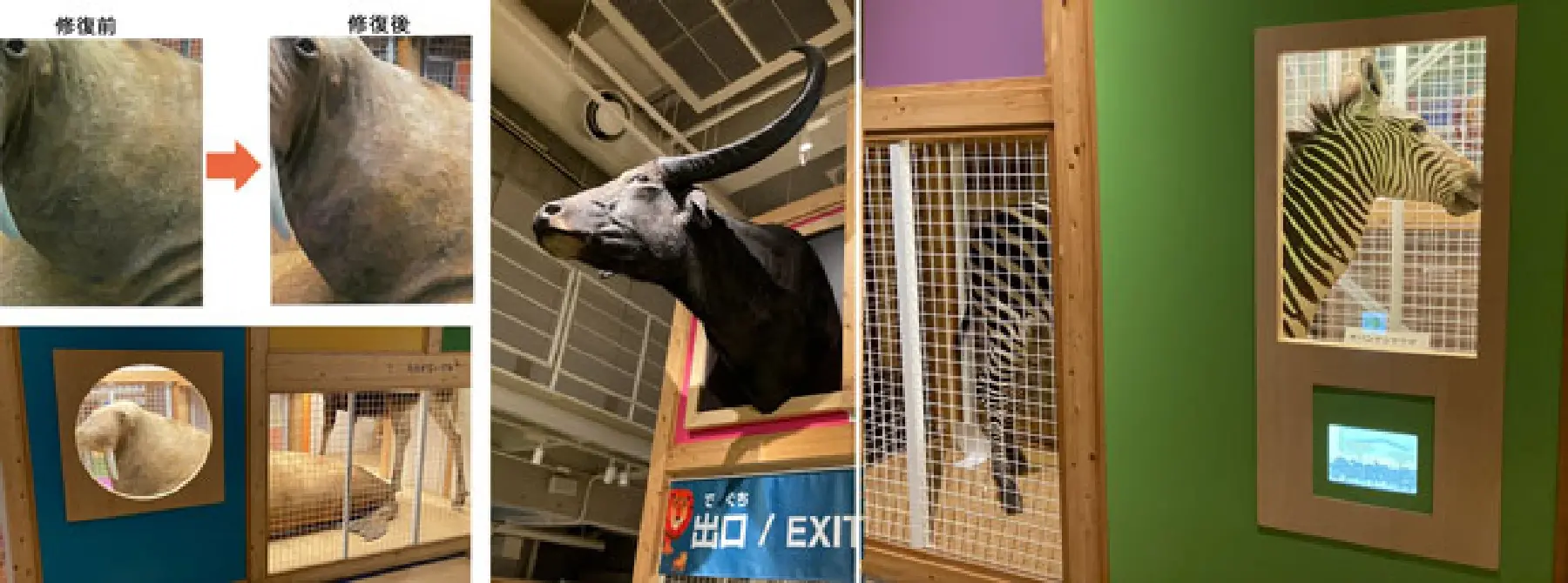 「親と子のたんけんひろば コンパス」