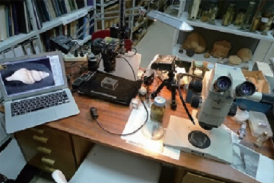 ロシア科学アカデミー海洋学研究所