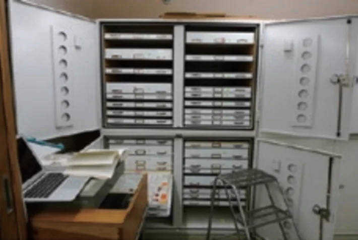 貝類タイプ・コレクション