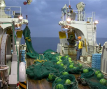 オッタートロール網