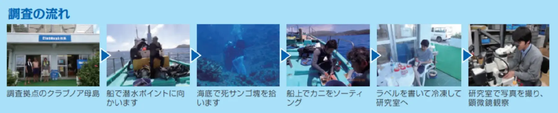 調査の流れ