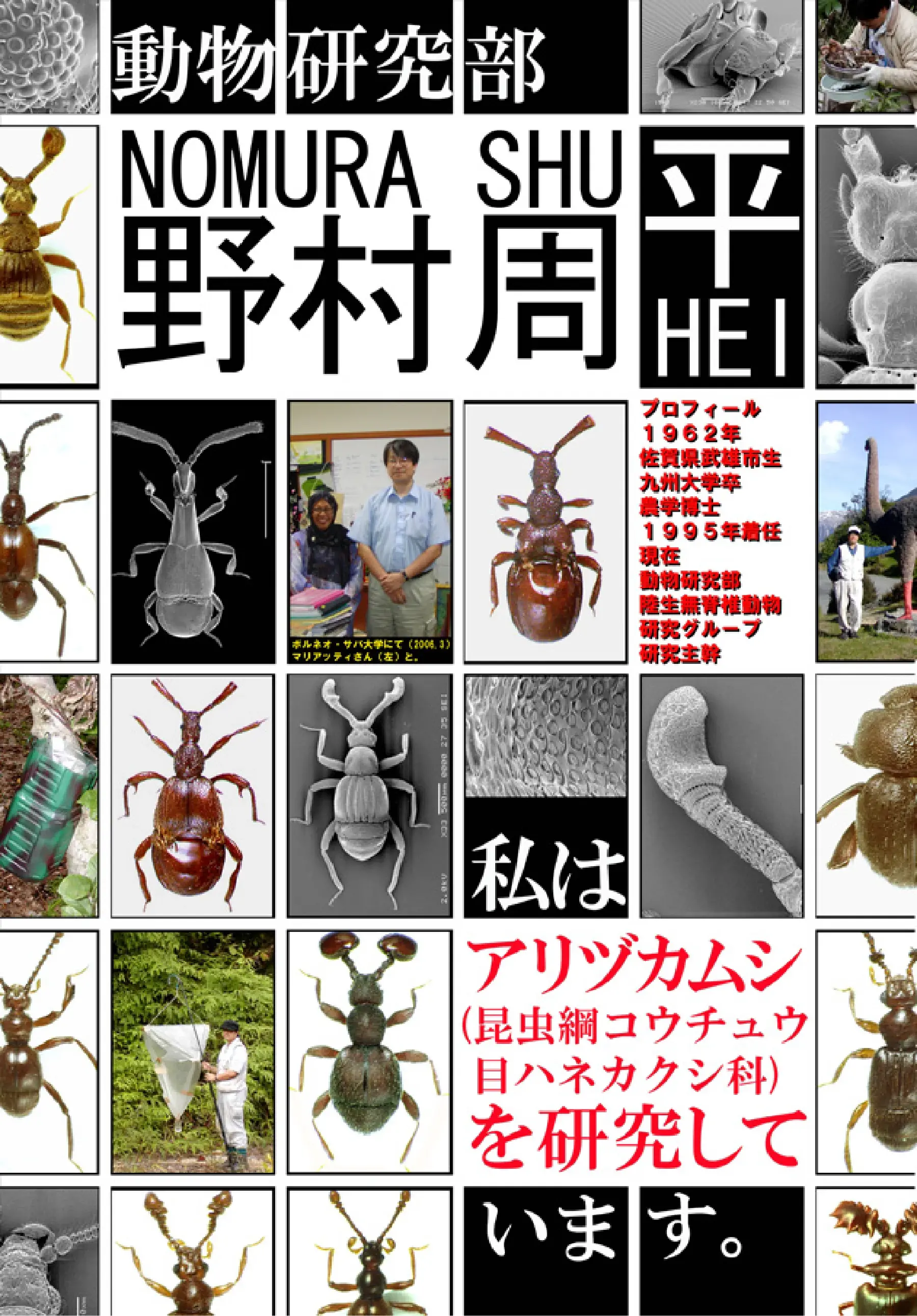 アリヅカムシ_ポスター_02