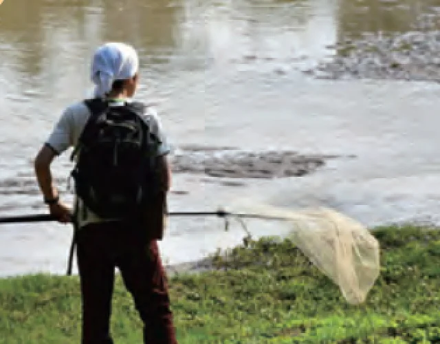 ミャンマーでの調査風景-01