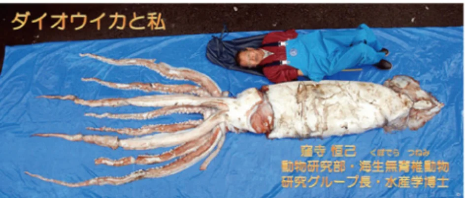 ダイオウイカと私
